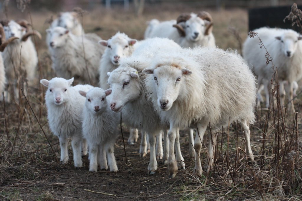 Jahresrückblick 2020