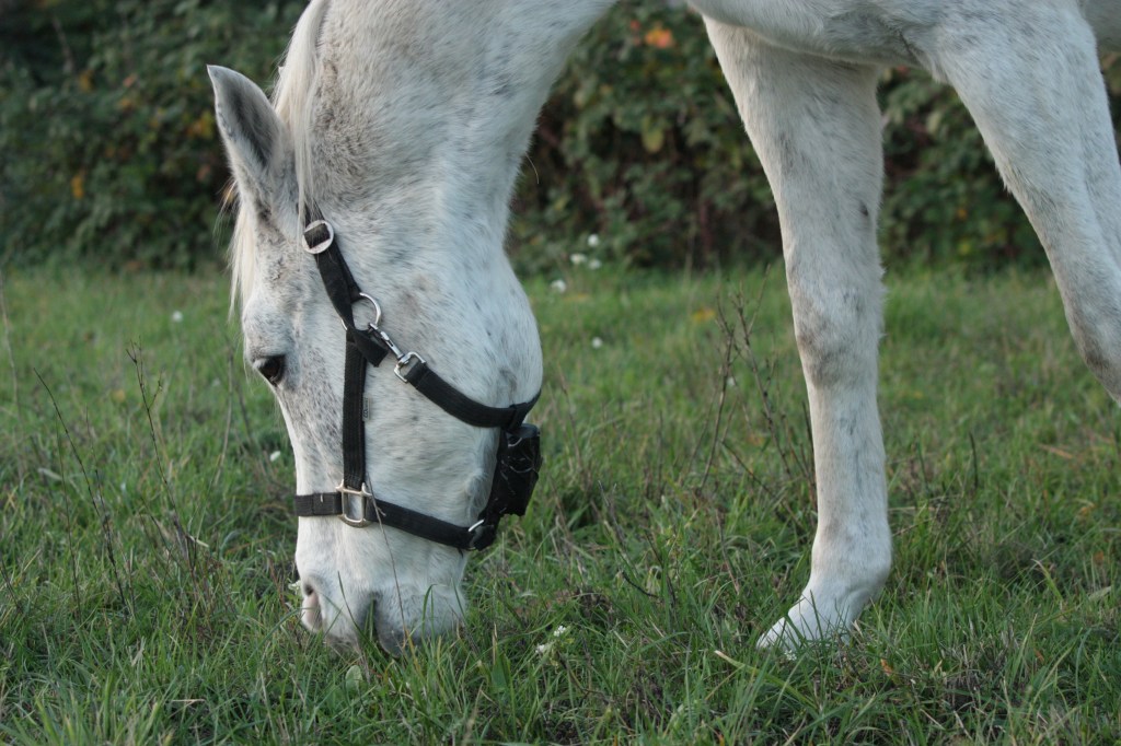 GPS-Tracking im Jahresvergleich