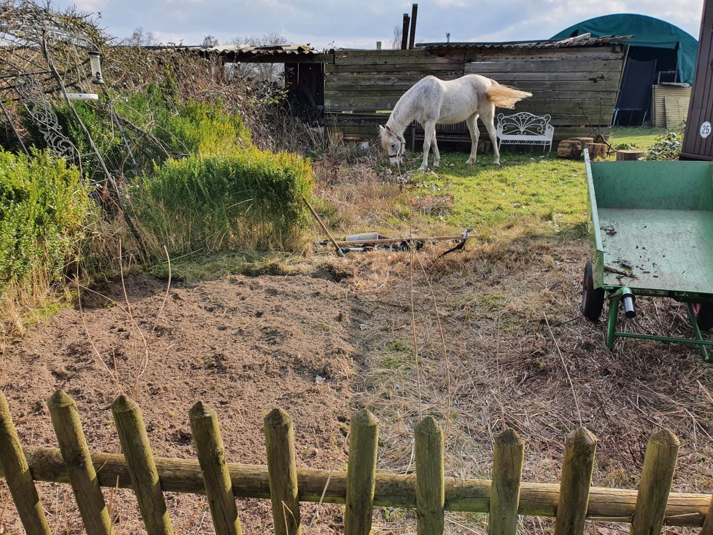 Ein Garten für Insekten, Pferde und&nbsp;Menschen