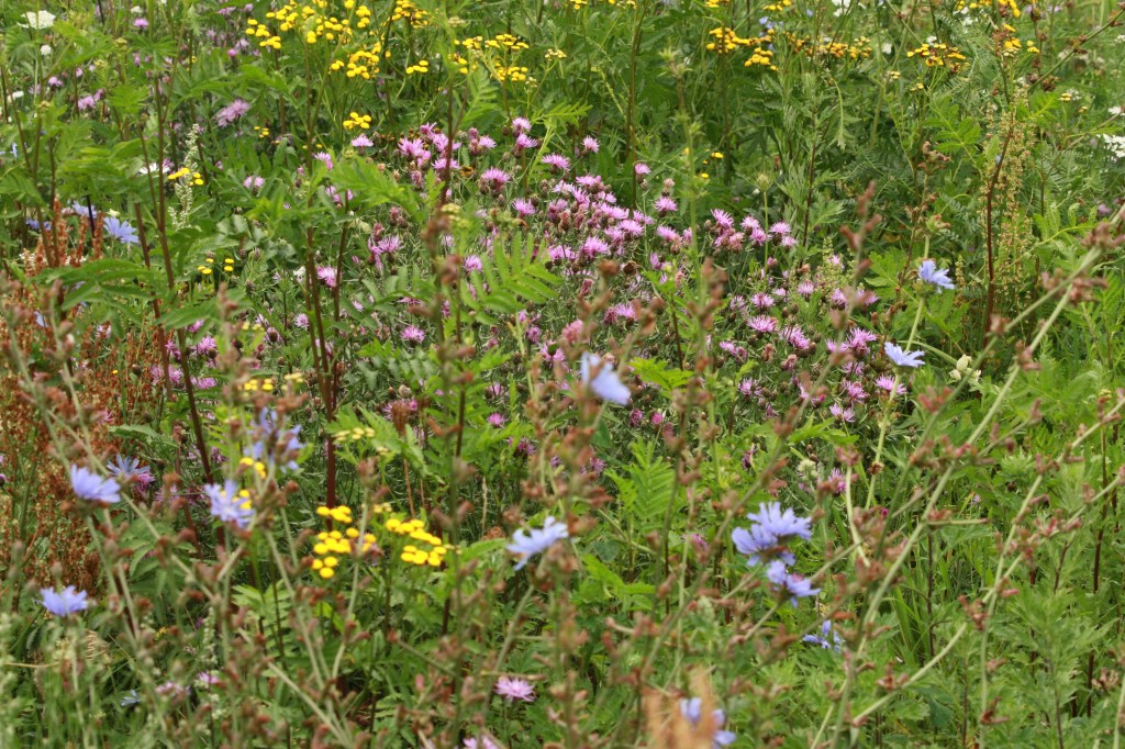 Artenvielfalt verteilen